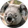 Kinnat Gagné profile picture